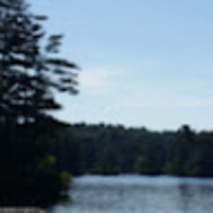 Meet your Posher, Margaret